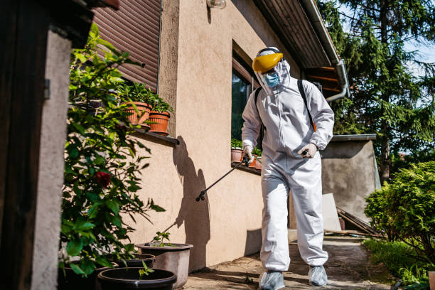 Best Pest Prevention Services  in Colma, CA