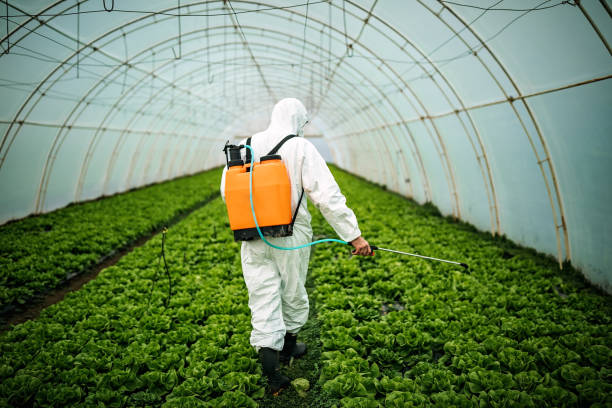 Best Mosquito Control Services  in Colma, CA