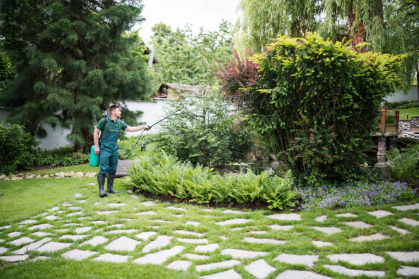  Colma, CA Pest Control Pros
