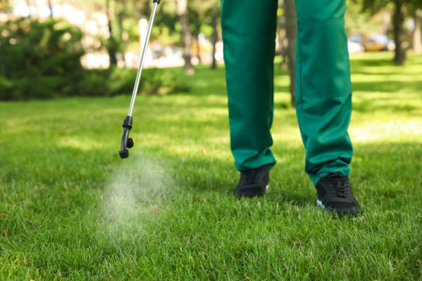 Pest Control Cost in Colma, CA