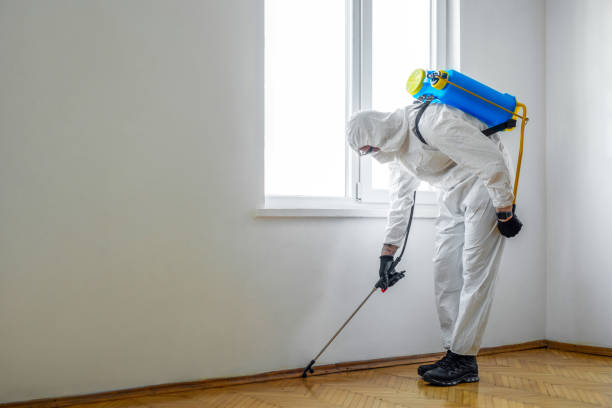 Best Pest Control Cost  in Colma, CA