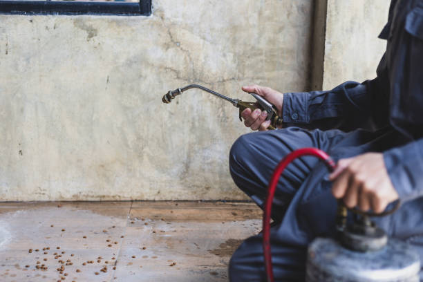 Best Emergency Pest Control  in Colma, CA
